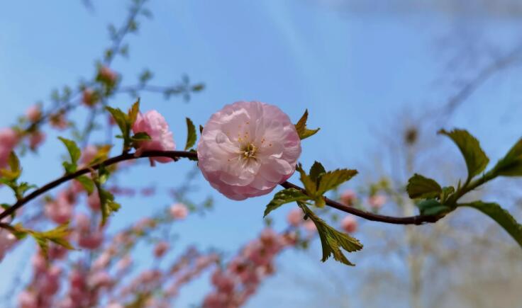 表达拍照留住美的句子文案