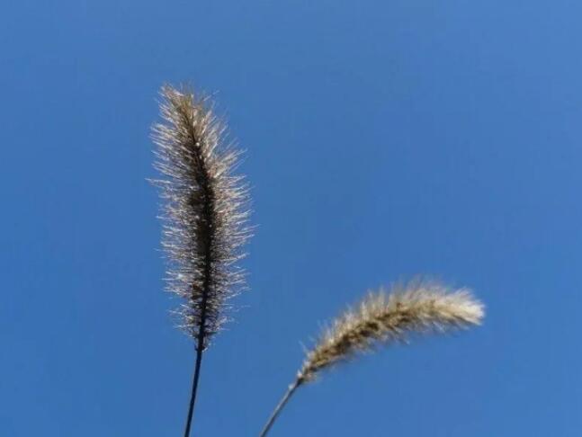 关于三月的唯美句子文案