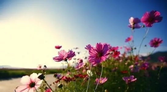 40岁女人唯美句子文案