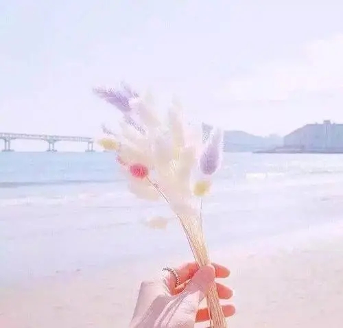 女生说说文案短句干净