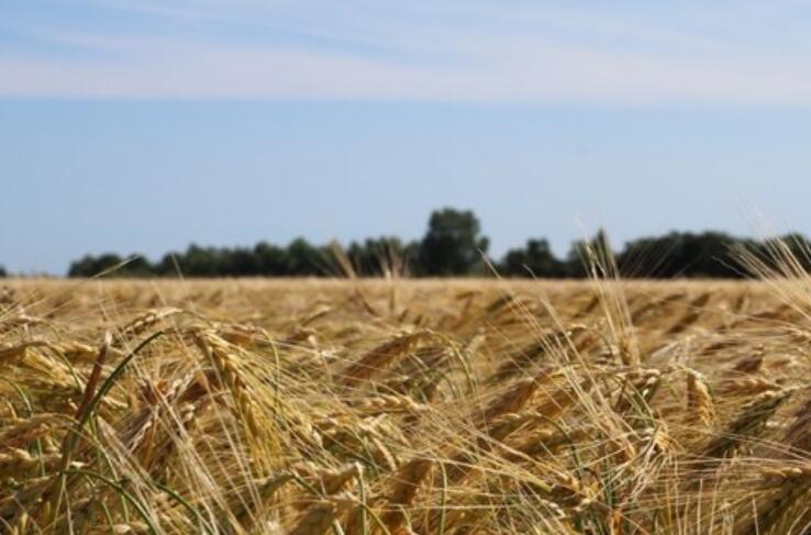 伤感的句子文案话