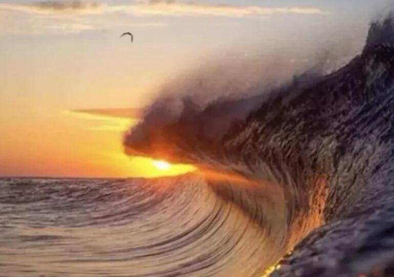 班主任寄语初中励志篇