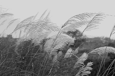 活泼的名言名句文案