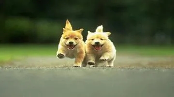 搞笑对话段子文案一问一答