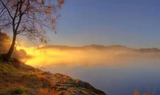 感情失意的诗句文案