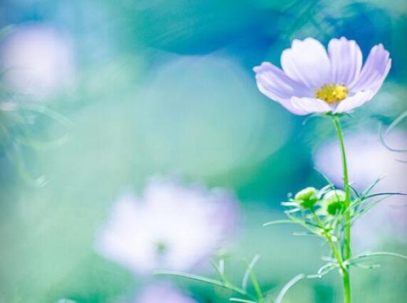 简短的微信签名说说文案