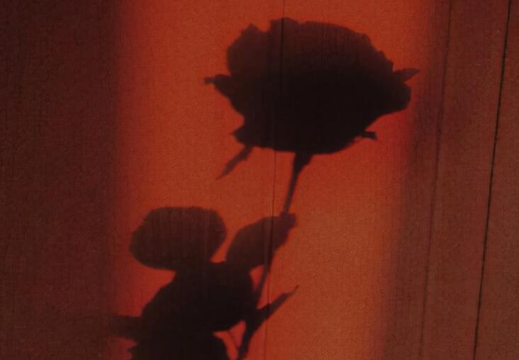 忙到很累怎么发朋友圈