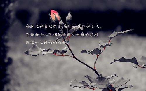 个性霸气励志名言