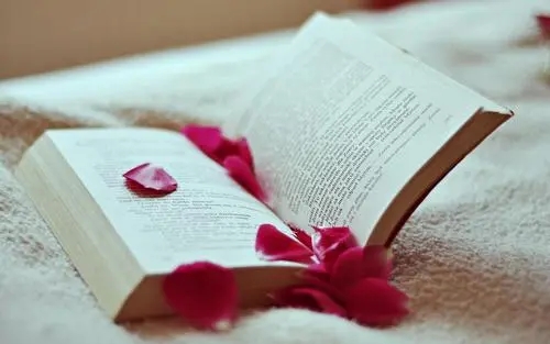 生活感悟简单一句话