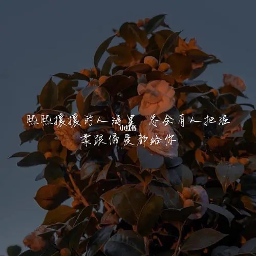 细节偏爱的文案