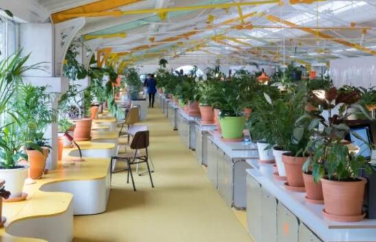 办公室环境温馨的句子文案