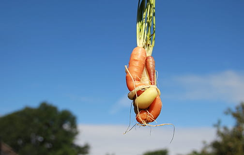 被男人伤害的句子文案说说心情