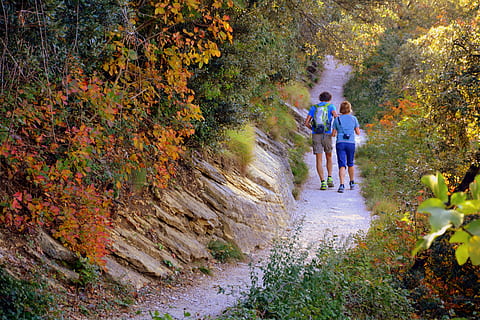 对心爱之人的甜蜜情话文案