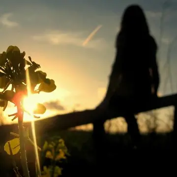 冷暖自知的心情说说文案