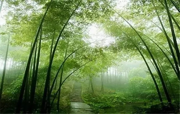 关于避暑休闲的句子文案