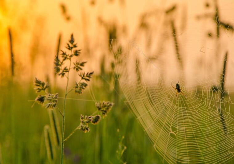 女王范超拽签名