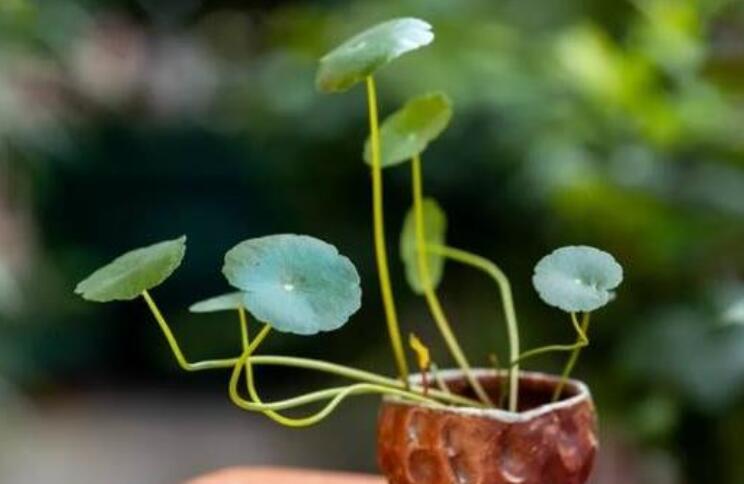 儿时到中年的句子文案经典语录