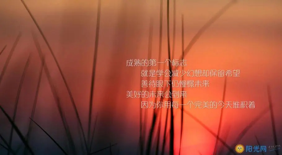 有关成功的名言