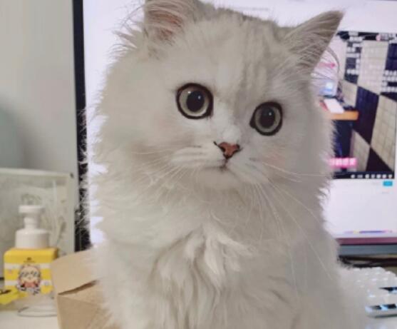 让人一看就赞的说说文案配图