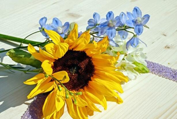 愿身边的人幸福的句子文案