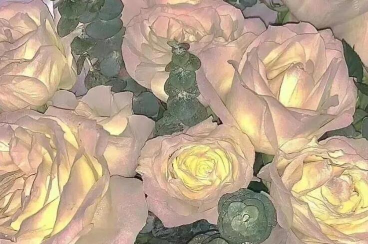 买了一束花怎么写文案