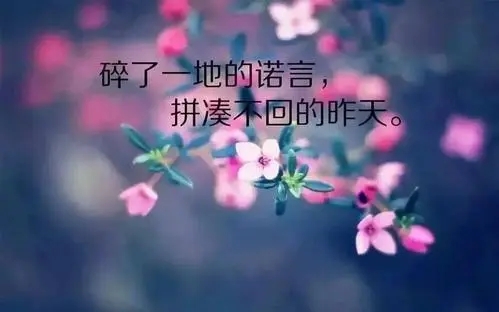 给2024年的自己说一句话