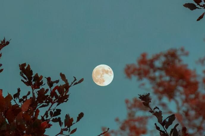 元宵节祝福短语