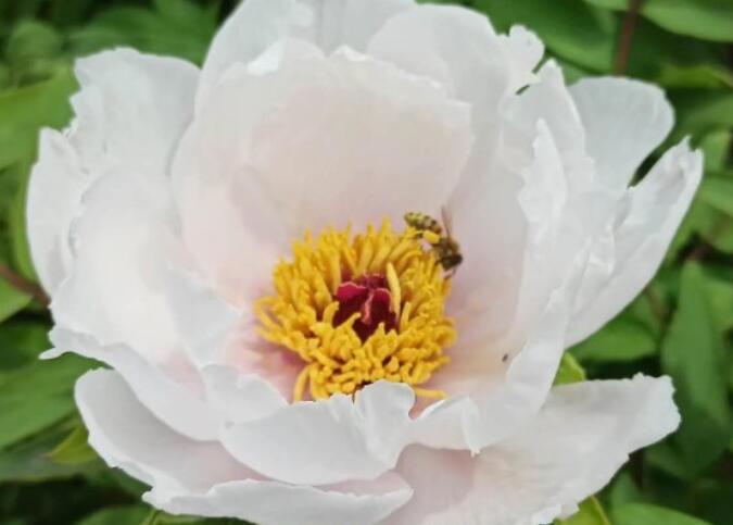 父亲去世心情悲痛句子文案