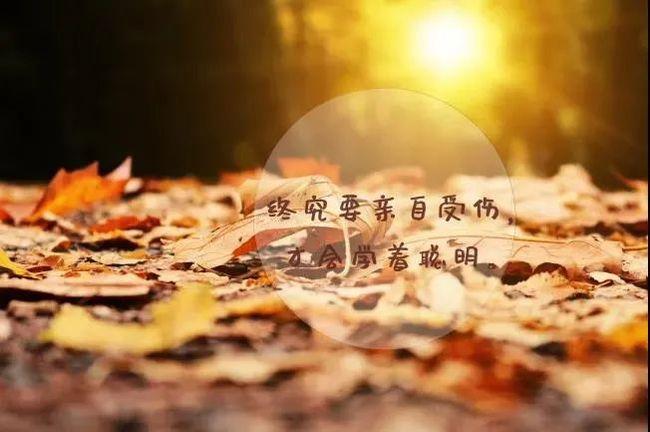 关于人生哲理的一段话