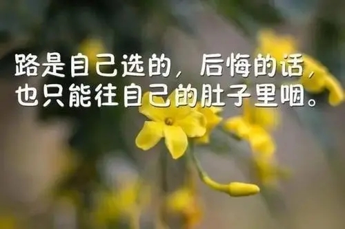 创业暖心励志话语