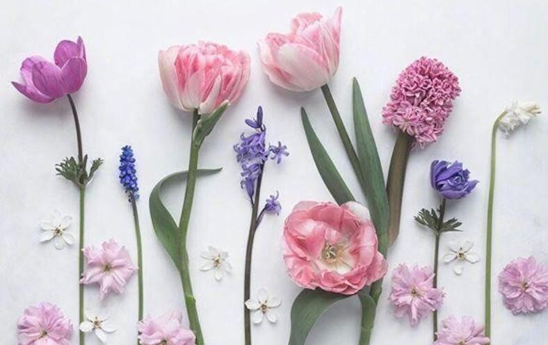 女人潇洒疯狂的句子文案