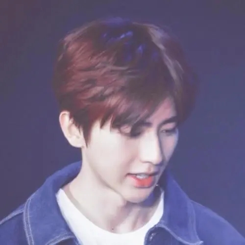 追星女孩语录文案蔡徐坤