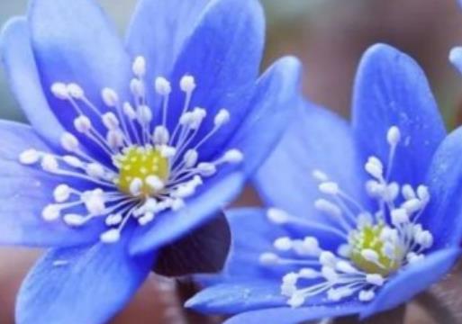 形容爱得心痛的语句文案