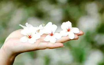 感悟生命可贵的句子文案