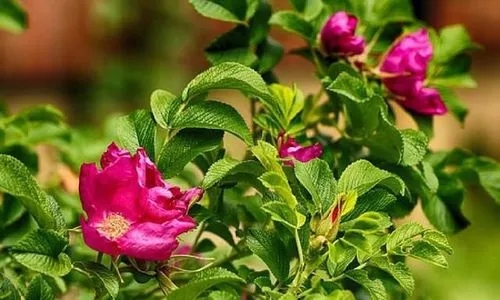 销售感悟正能量语录文案