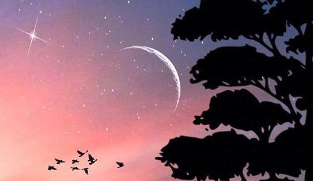 佛系短句干净治愈