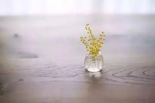 爱家爱生活的女人说说文案