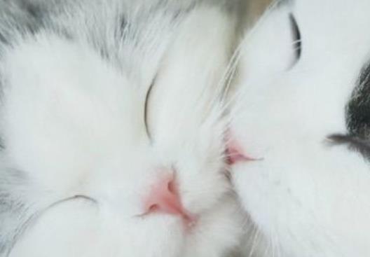 朋友卡片上的温暖句子文案