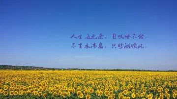生活被迫无奈的说说文案