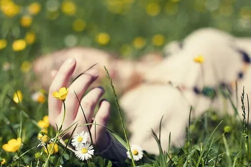 生活处处都有美的句子文案