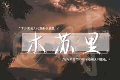 某某木苏里励志语录文案