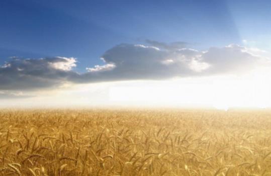 工作早上寄语正能量