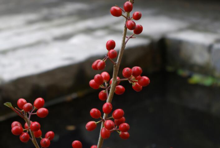 知足常乐的经典说说文案