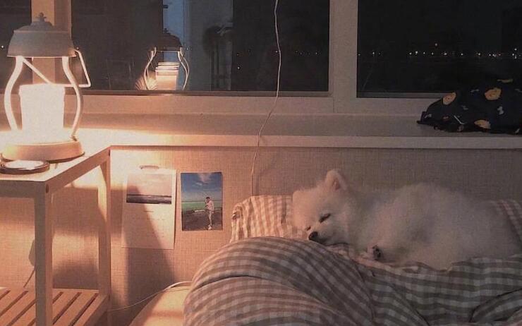 莫名的烦躁的经典句子文案