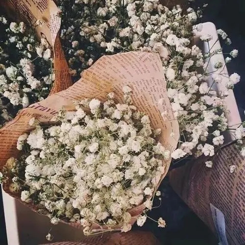 满天星的经典名言