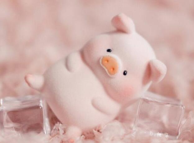 可爱的粉色句子文案