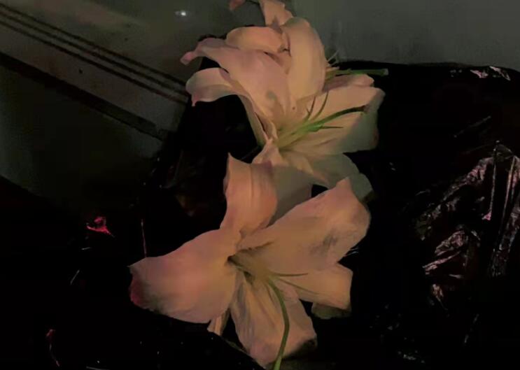 凌晨三点的心情说说文案