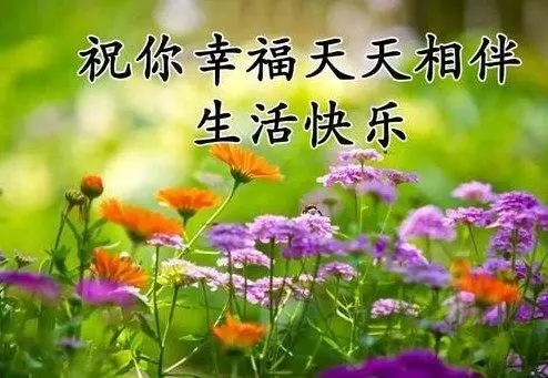 生活幸福美满的句子文案