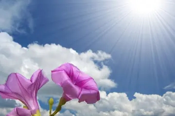 闪光点的优美句子文案