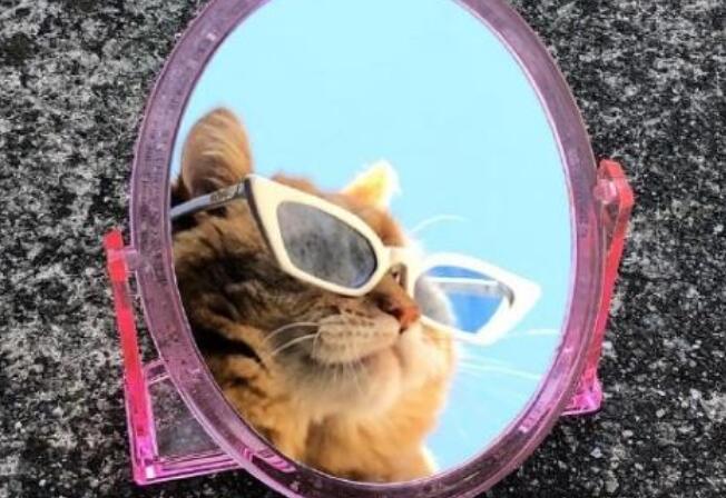 被盗号的个性签名